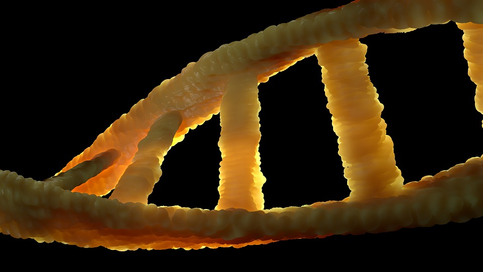 DNA ADN Biology Cancer Acid